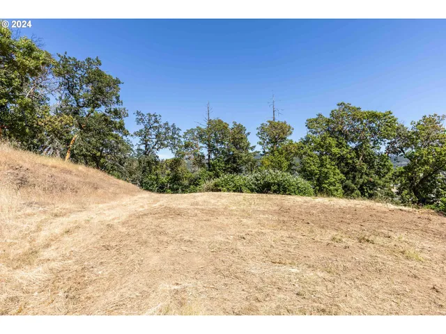 a view of outdoor space and yard