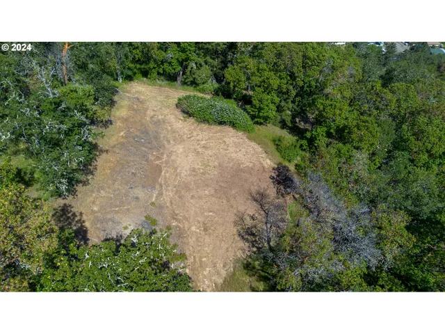 a open area with mountains in the background