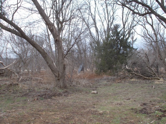 169 Main Street Middlebury, NY 14591 - Photo 10 of 23 LAND