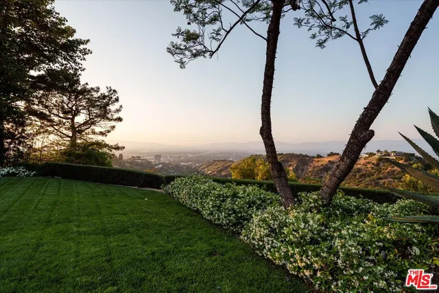 a view of a garden with a tree