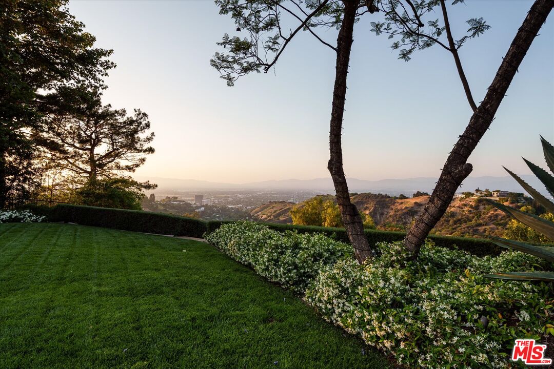 3350 Stoneridge Lane Los Angeles, CA 90077 - Photo 42 of 42 a view of a garden with a tree
