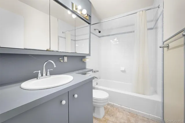 a bathroom with a sink a toilet and a bathtub