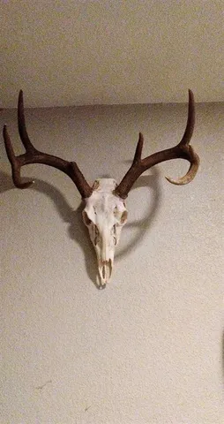 a close view of a tap