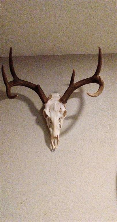 Tbd Shawnee Avery, TX 75554 - Photo 4 of 10 a close view of a tap