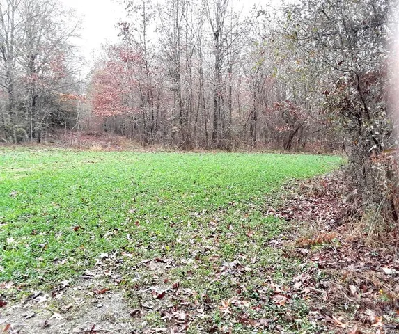 a view of a yard with a trees
