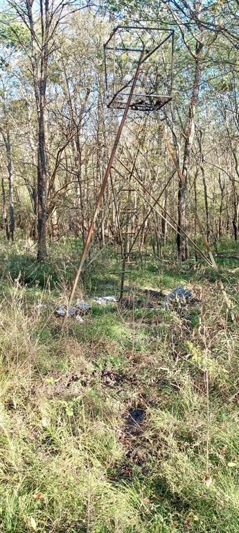 Tbd Shawnee Avery, TX 75554 - Photo 10 of 10 a big yard with lots of bushes