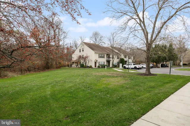 a view of a park with large trees