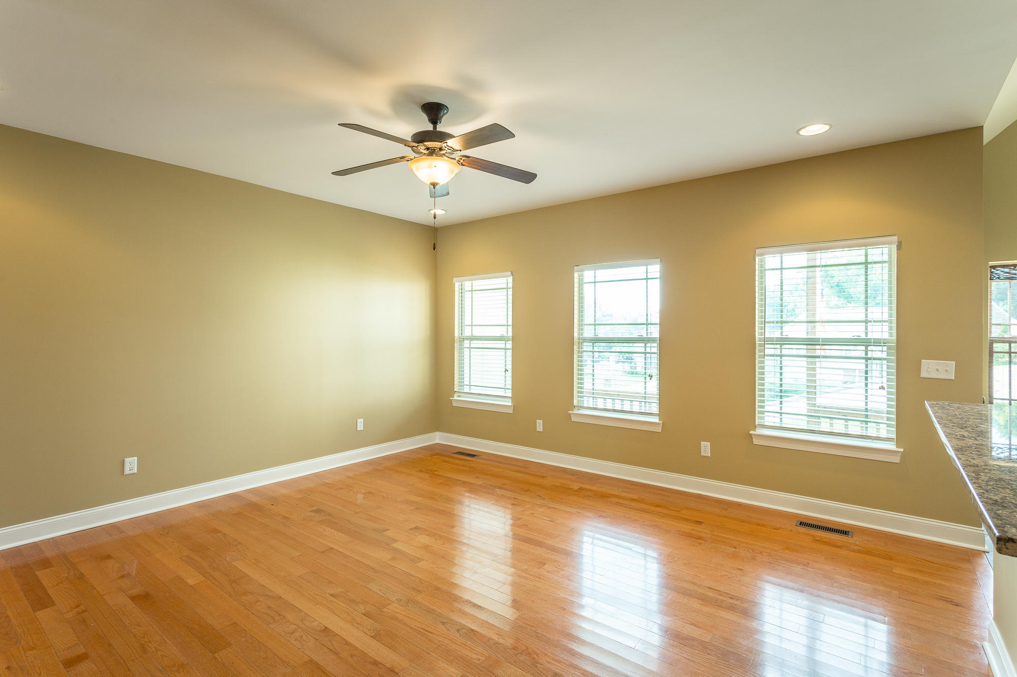 878 Windrush Loop Chattanooga, TN 37421 - Photo 6 of 44 hardwoods