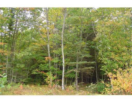 Lot 3 Surry By The Bay Road Surry, ME 04684 - Photo 4 of 4 Land/Lot. Nicely wooded lot