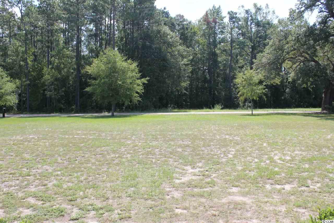 2993 Dusty Road Loris, SC 29569 - Photo 19 of 25 Gallery Image 19