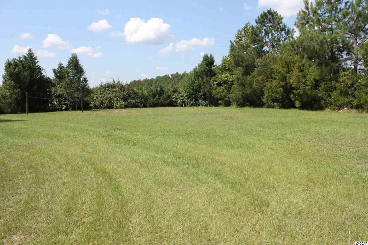 2993 Dusty Road Loris, SC 29569 - Photo 24 of 25 Gallery Image 24