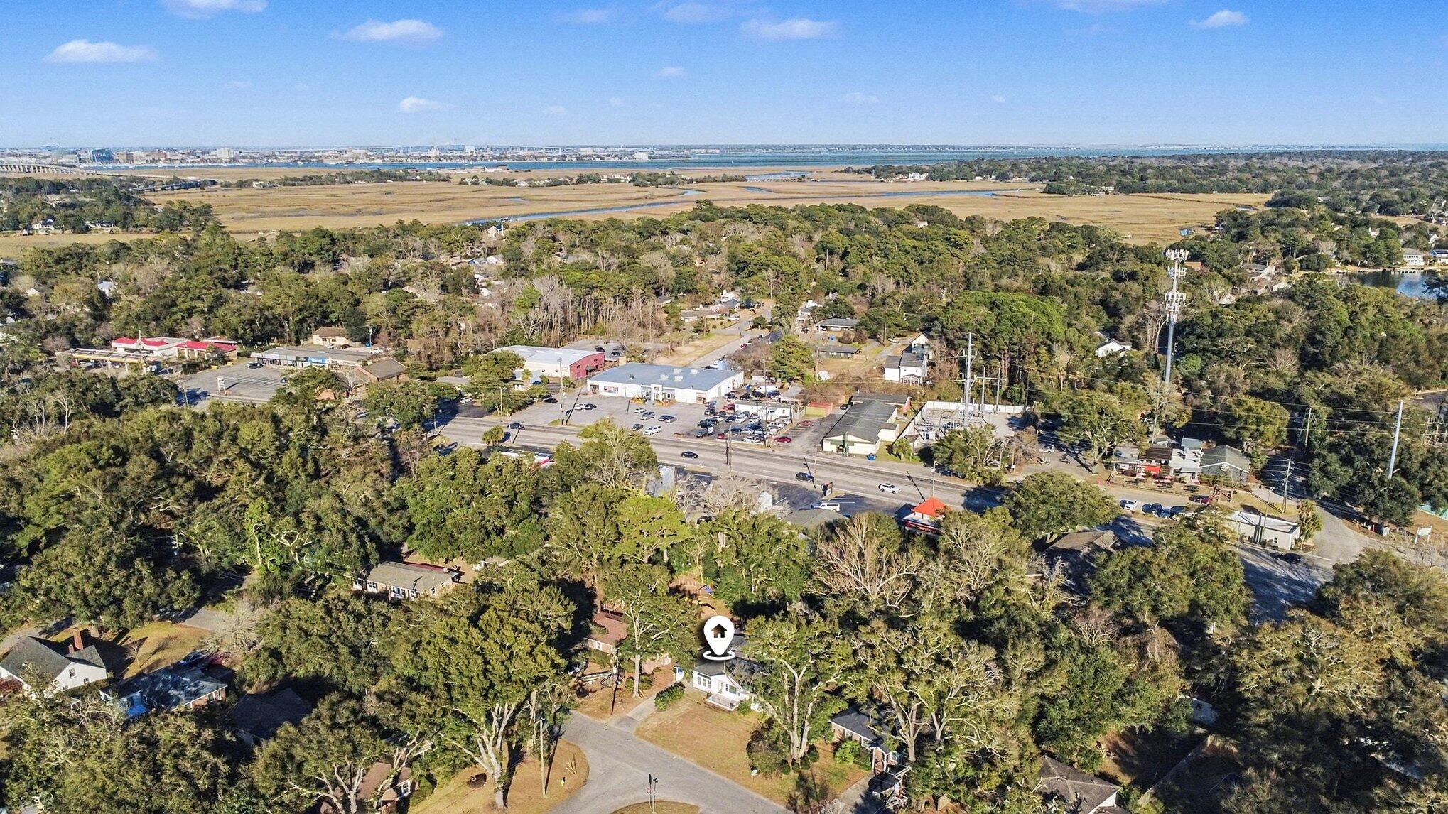 818 West Madison Avenue Charleston, SC 29412 - Photo 35 of 36 Aerial