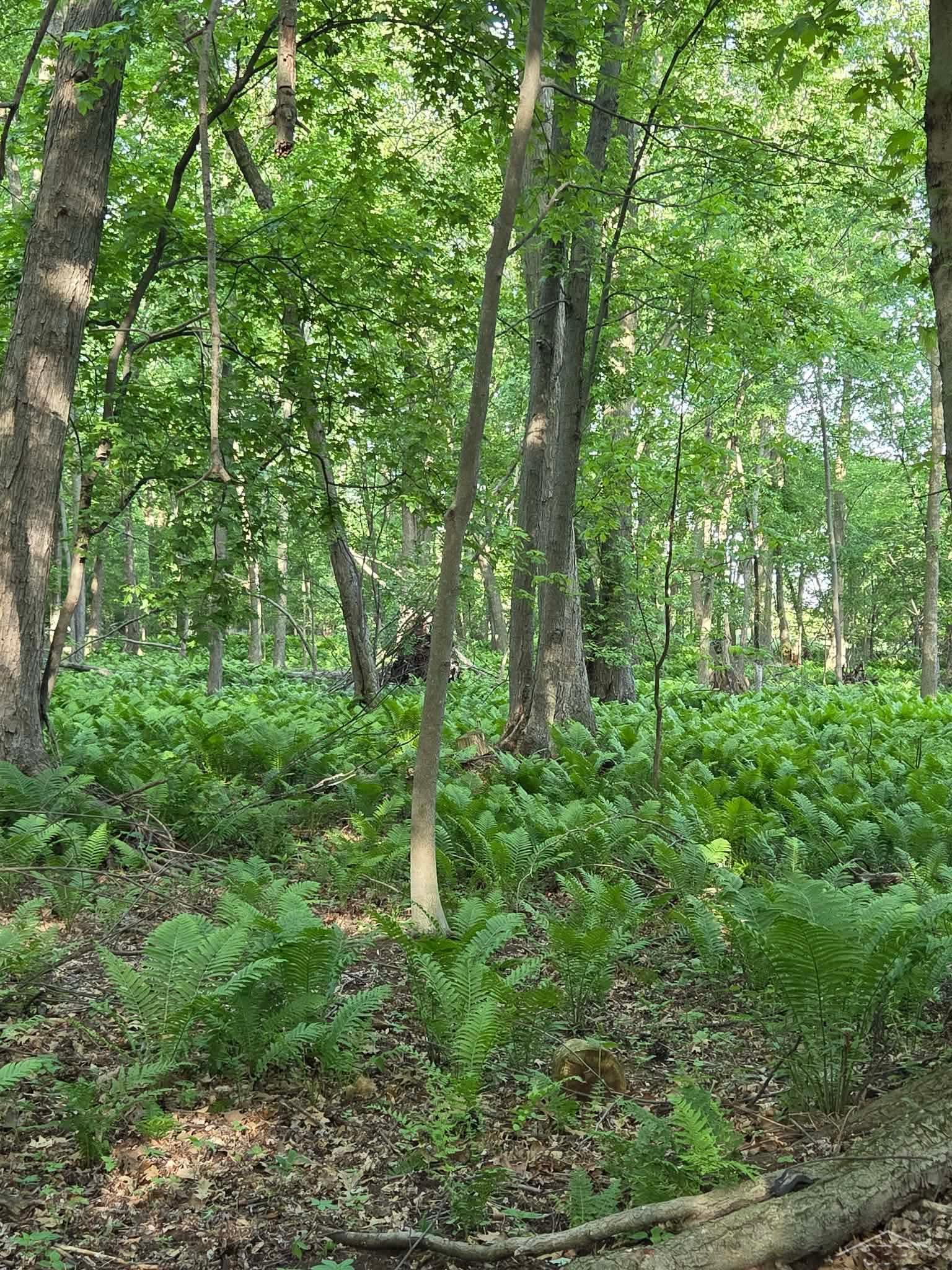 2531 Weaver Road Port Austin, MI 48467 - Photo 7 of 9