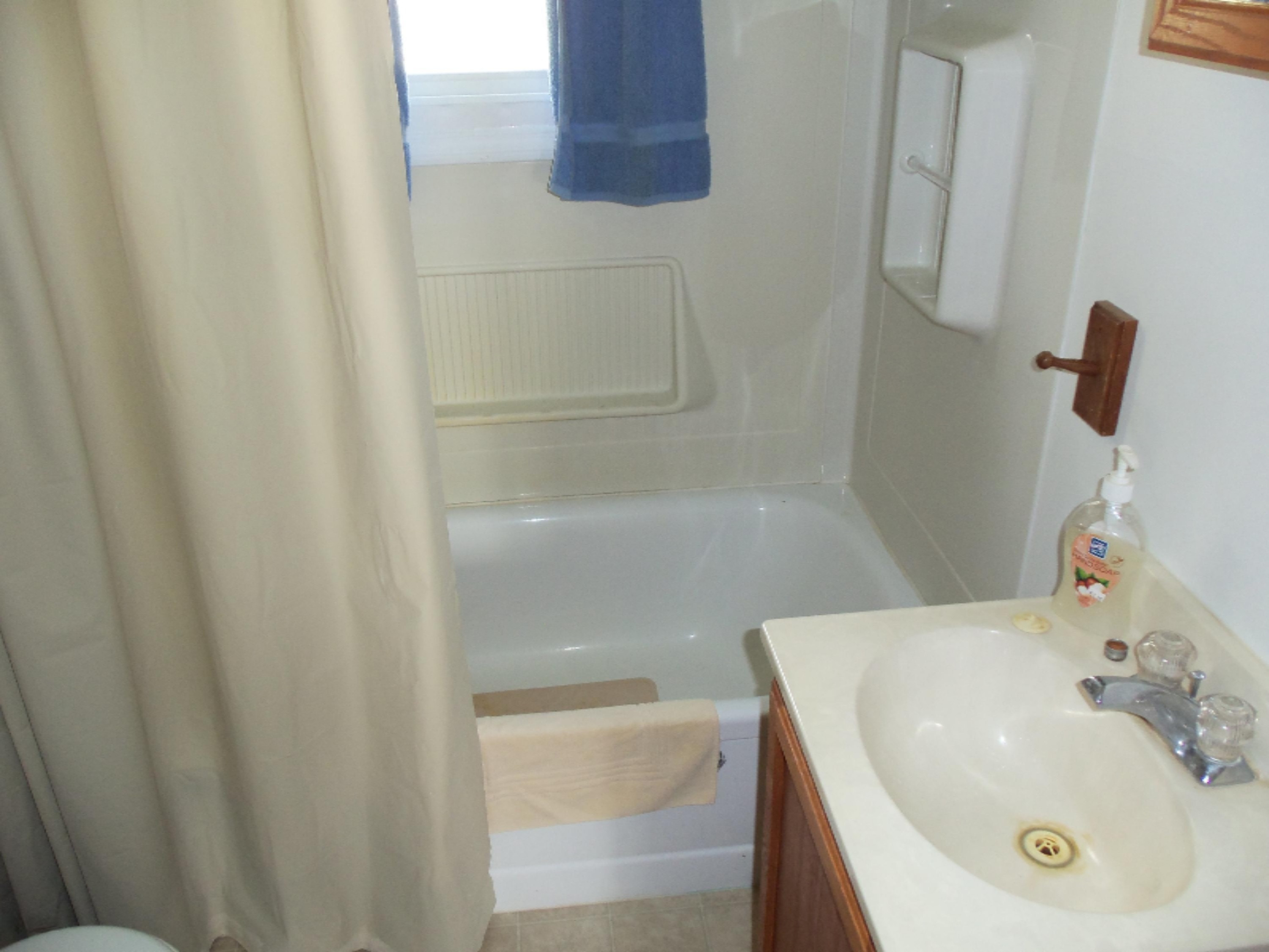 133 Waffle Point Coldwater, MI 49036 - Photo 11 of 17 101_4373