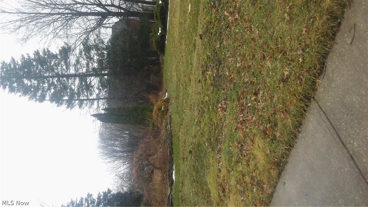 Ludlow Road Cleveland, OH 44120 - Photo 2 of 11