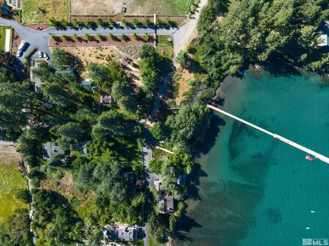 a view of a yard with an tree