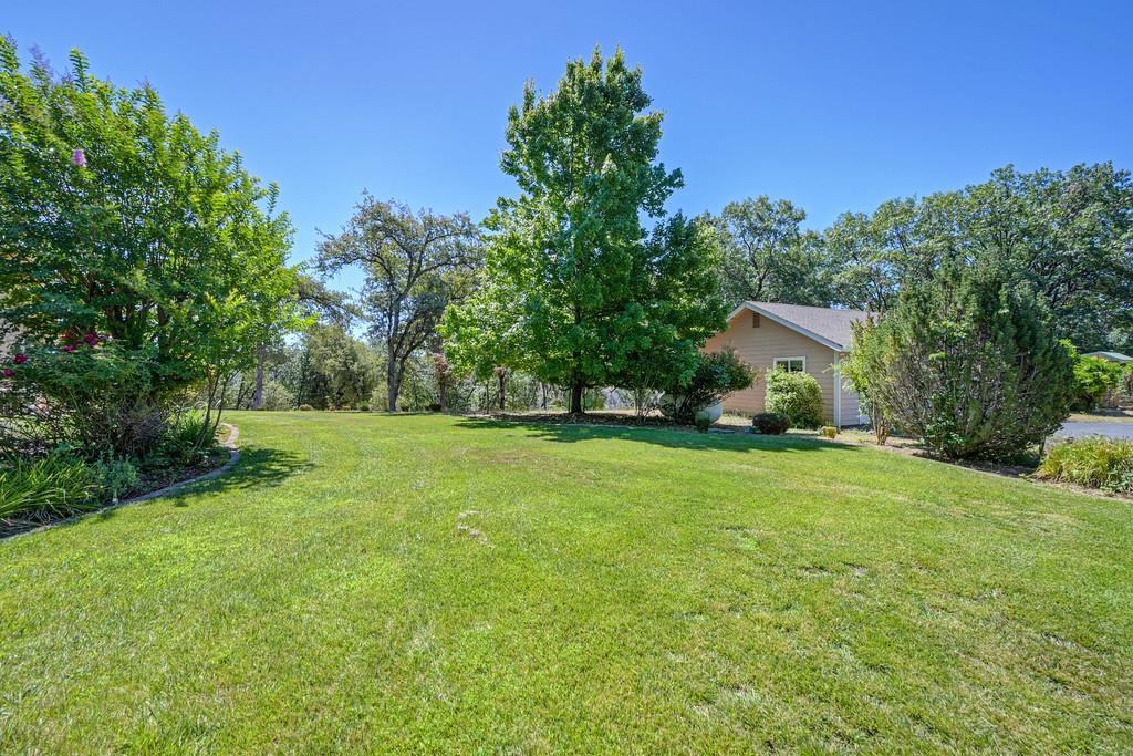 19539 Mountain Lion Road Grass Valley, CA 95945 - Photo 8 of 74