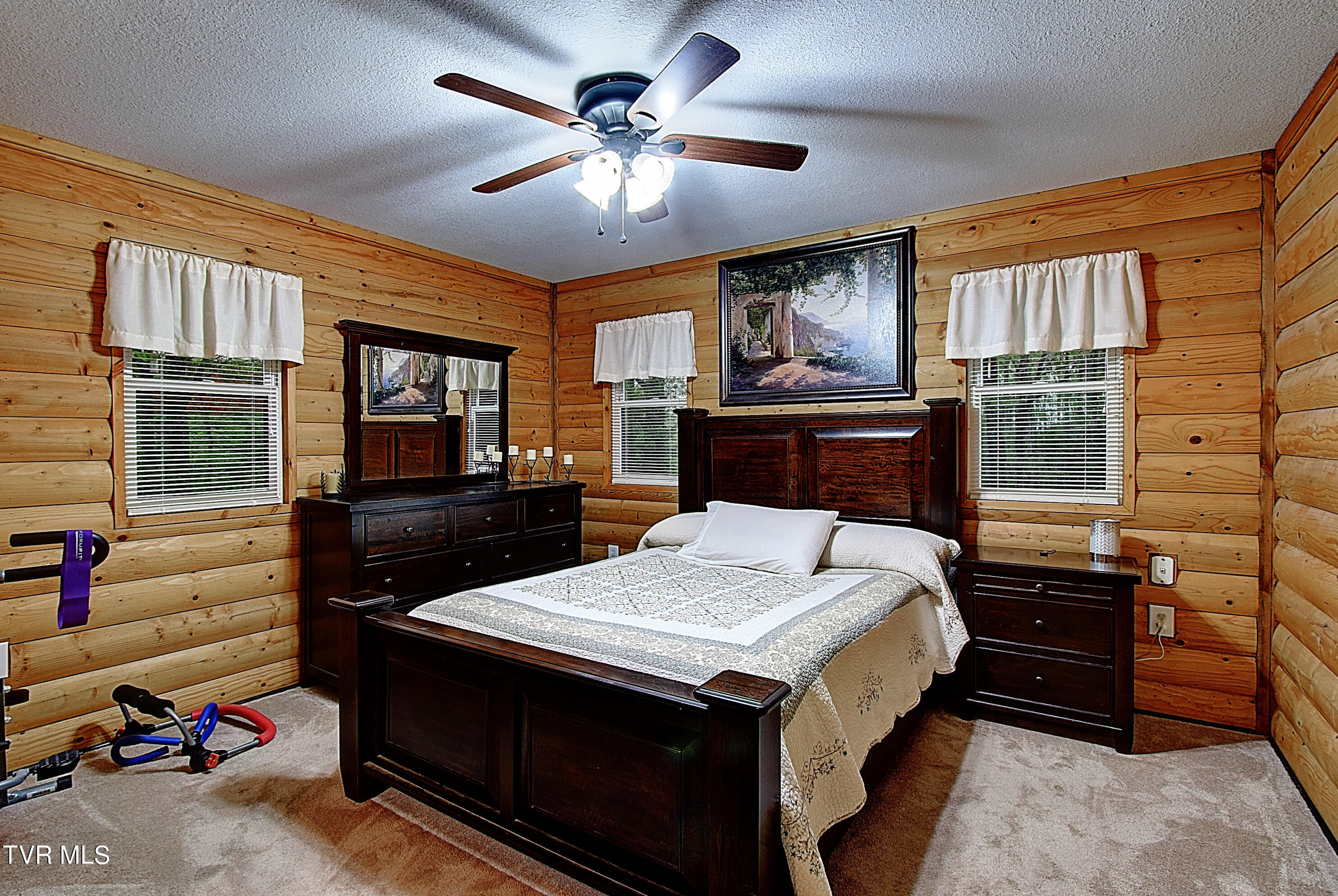 434 Roaring Creek Road Chuckey, TN 37641 - Photo 17 of 37 18