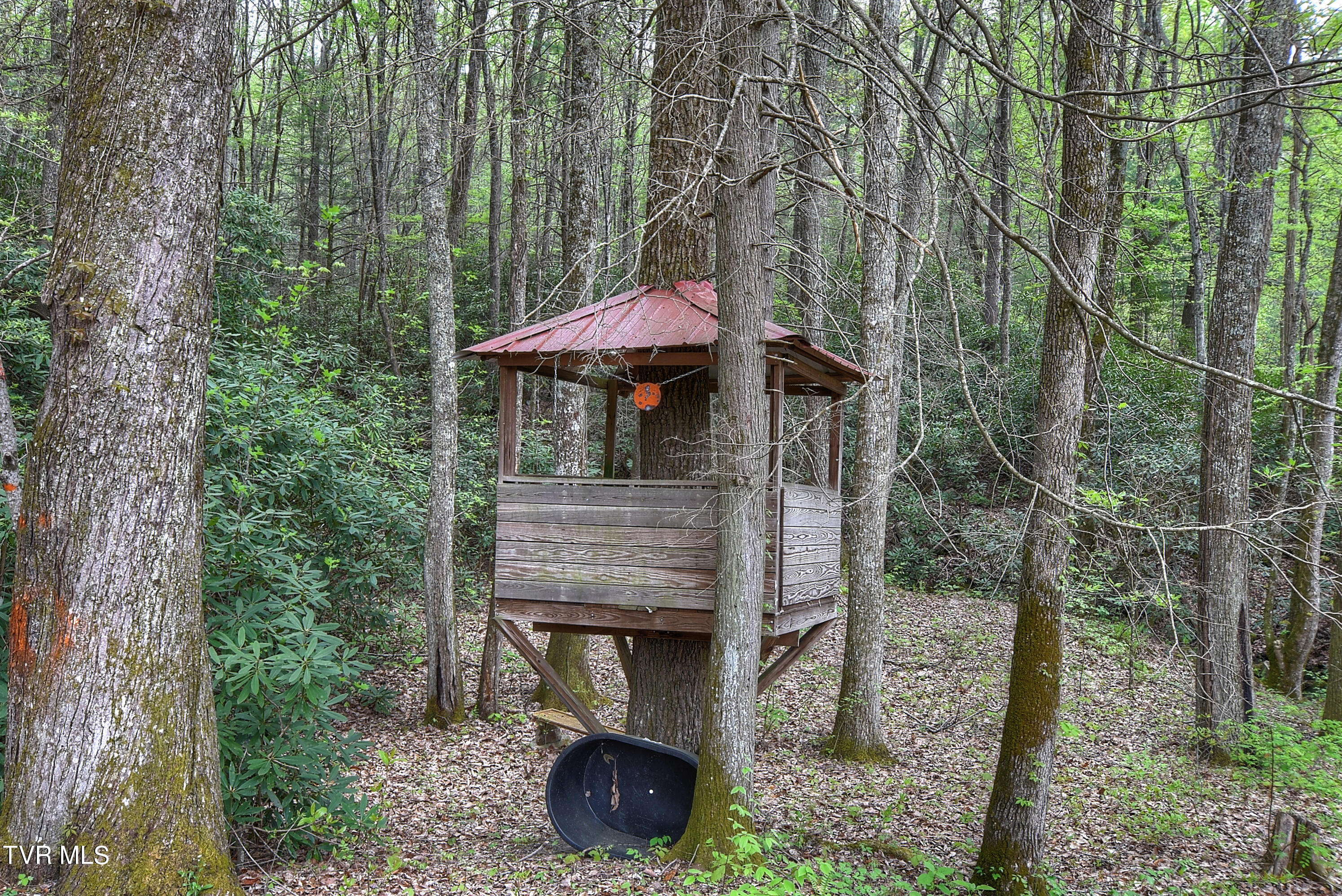 434 Roaring Creek Road Chuckey, TN 37641 - Photo 32 of 37 DSC_0145_46_47_48_49_50