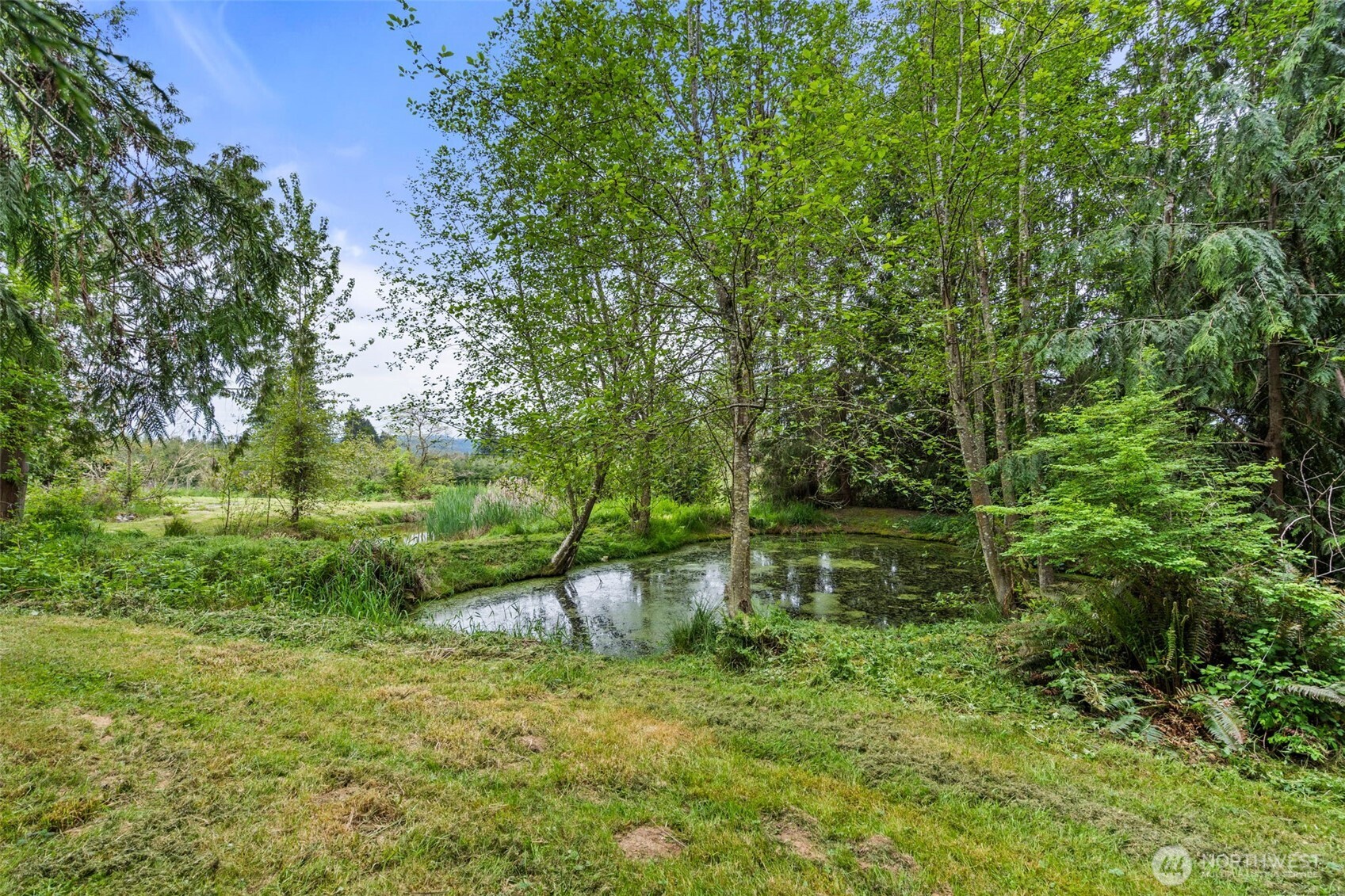 236 Chilvers Road Chehalis, WA 98532 - Photo 28 of 39 a backyard of a house with lots of green space