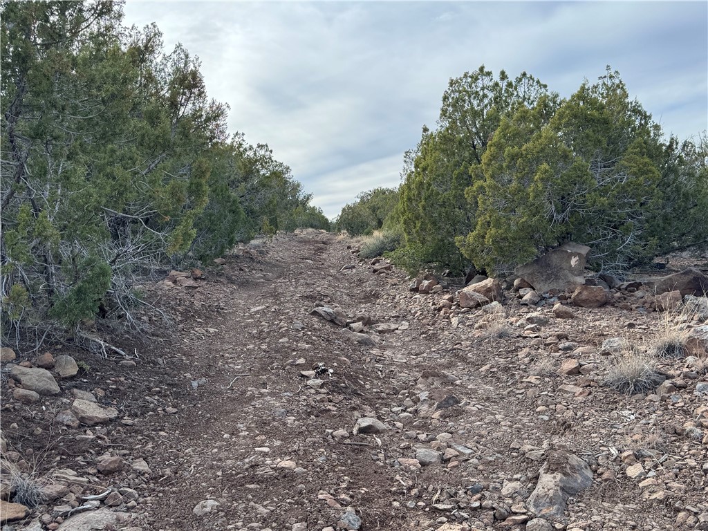 34745 West Running Shadow Road Seligman, AZ 86337 - Photo 36 of 52