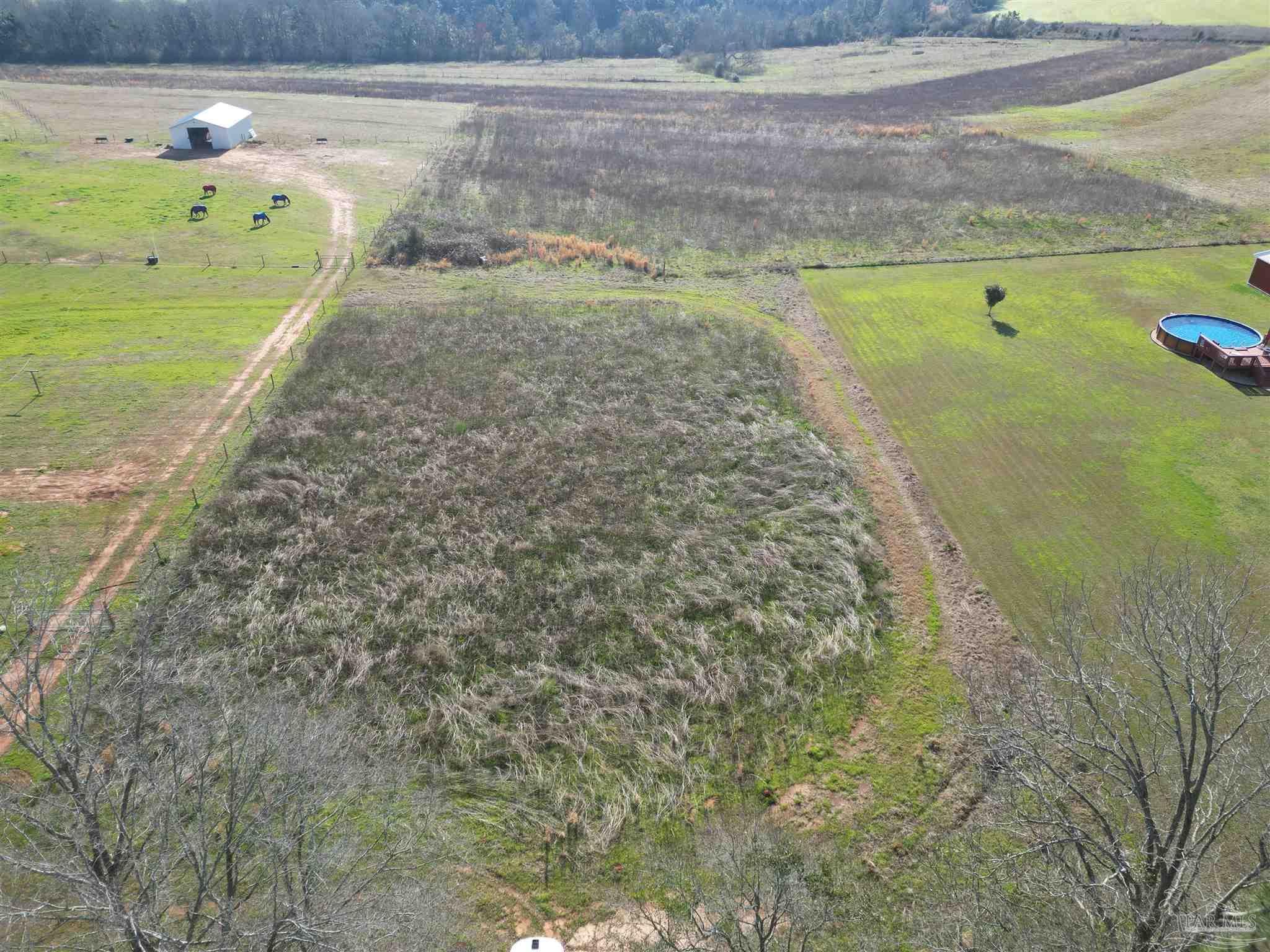 3584 Hazel Godwin Road Jay, FL 32565 - Photo 1 of 8
