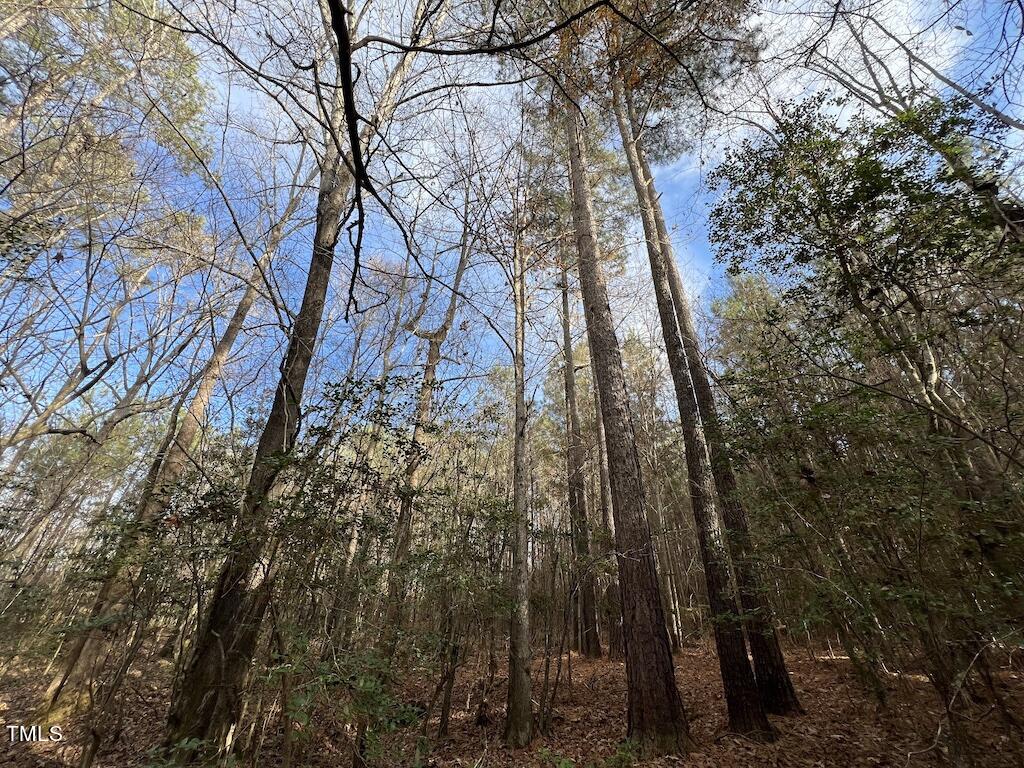 1 Peachtree Hills Road Spring Hope, NC 27882 - Photo 29 of 40 32