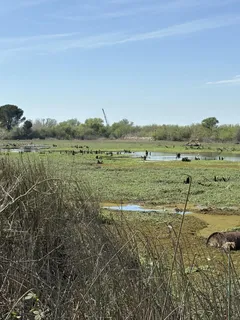 a view of a lake with a mountain
