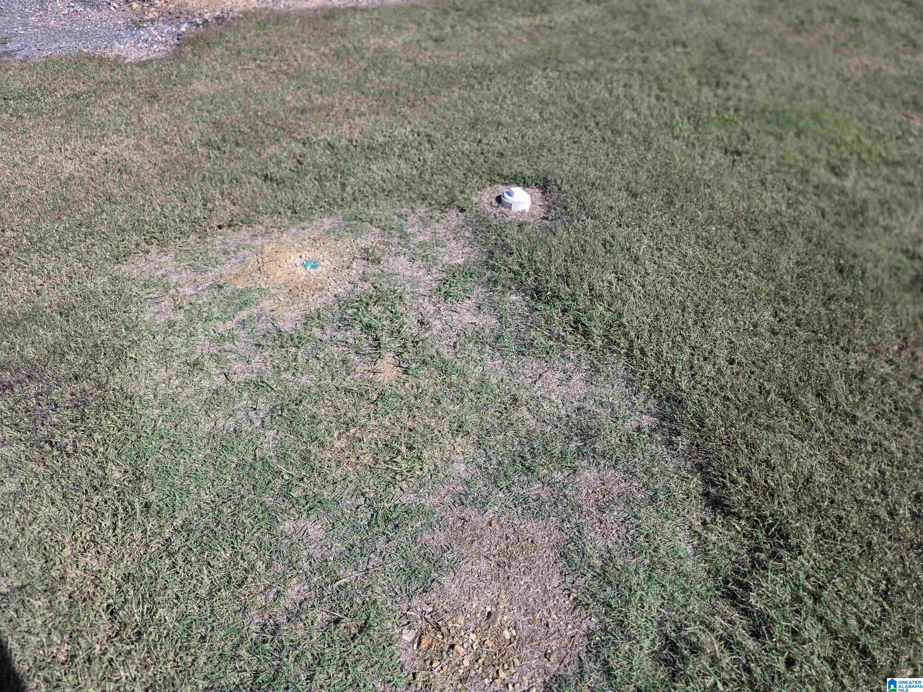 226 Old 227 Road Langston, AL 35755 - Photo 50 of 50