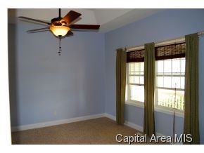 307 Eagle Ridge Drive Chatham, IL 62629 - Photo 19 of 24 Gallery Image 19