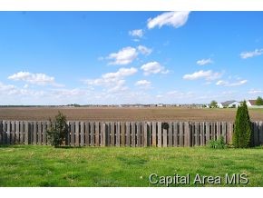 307 Eagle Ridge Drive Chatham, IL 62629 - Photo 8 of 24 Gallery Image 8