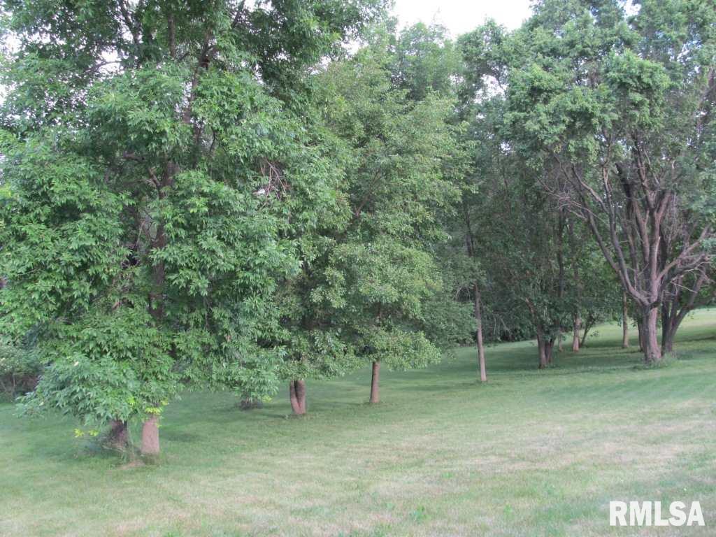11195 Devils Creek Road Blue Grass, IA 52726 - Photo 20 of 20 Gallery Image 20