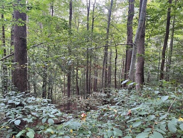 23875 Mathias Road South Bloomingville, OH 43152 - Photo 49 of 89 thumbnail_IMG_8886