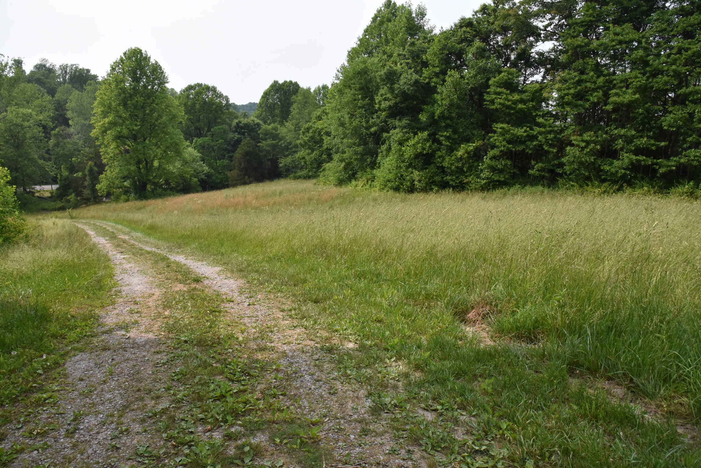 Tbd Country Club Road Spencer, IN 47460 - Photo 1 of 3