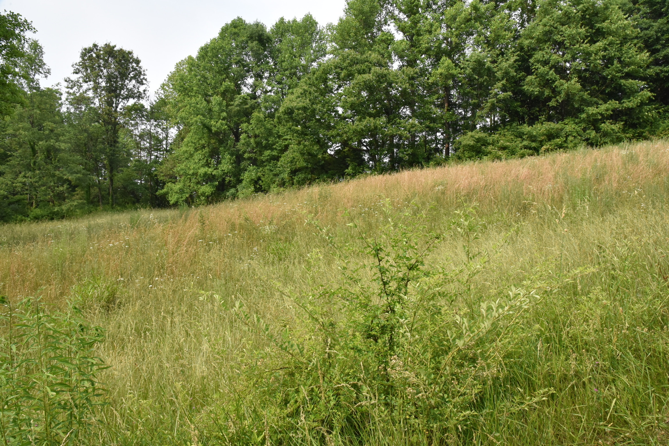Tbd Country Club Road Spencer, IN 47460 - Photo 2 of 3