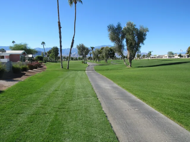 a view of a park with large trees