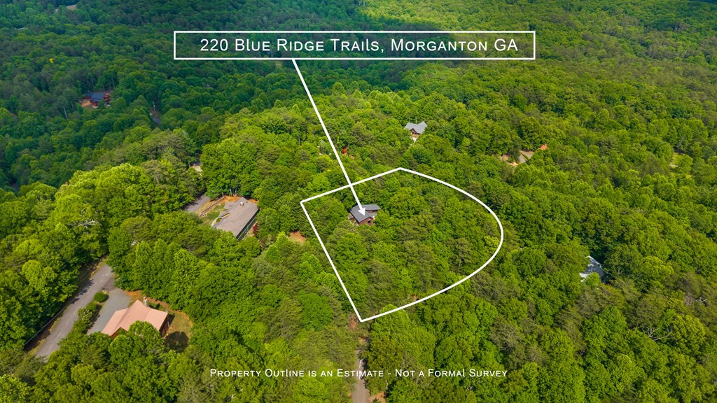 220 Blue Ridge Trail Morganton, GA 30560 - Photo 58 of 58