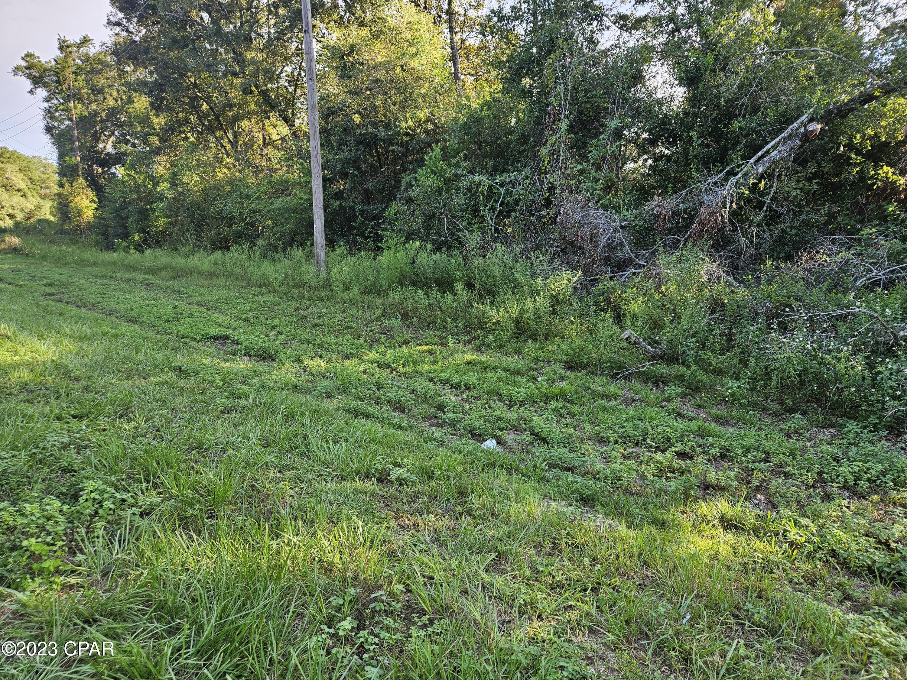 0 Fanning Branch Road Vernon, FL 32462 - Photo 1 of 2 Gallery Image 1