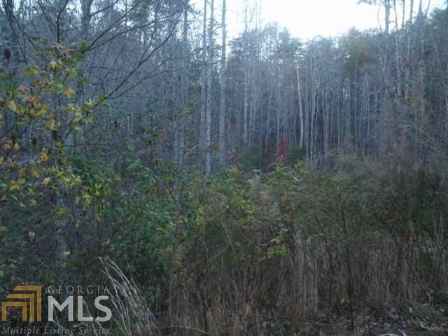 0 East Ridge Lane, Unit 39 Ellijay, GA 30536 - Photo 1 of 1
