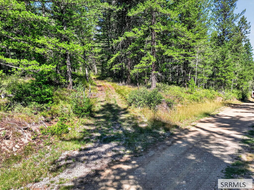 Tbd Coyote Run Lava Hot Springs, ID 83246 - Photo 20 of 22 Gallery Image 20