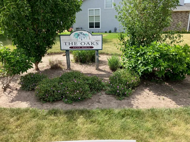 a view of a bunch of plants and trees front of house