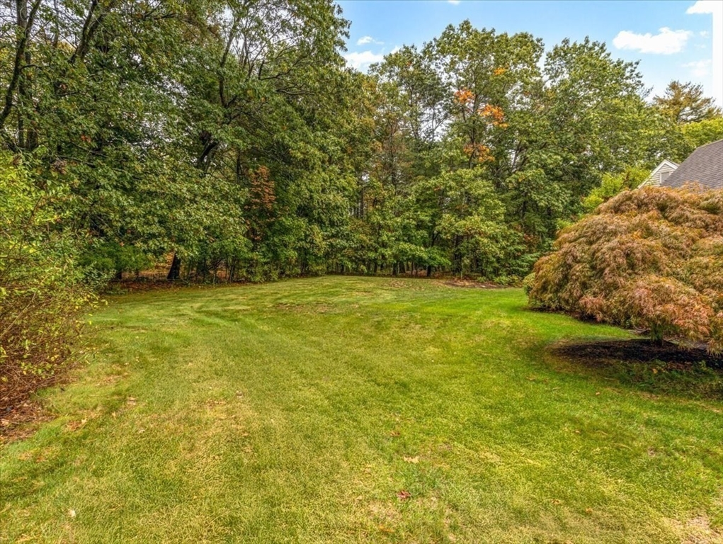 74 Granite Street Walpole, MA 02052 - Photo 37 of 40 a view of an ocean from a yard