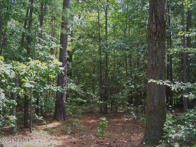 Lot 159 Tbd North State Lane Rockingham, NC 28379 - Photo 3 of 18 lot 159 3