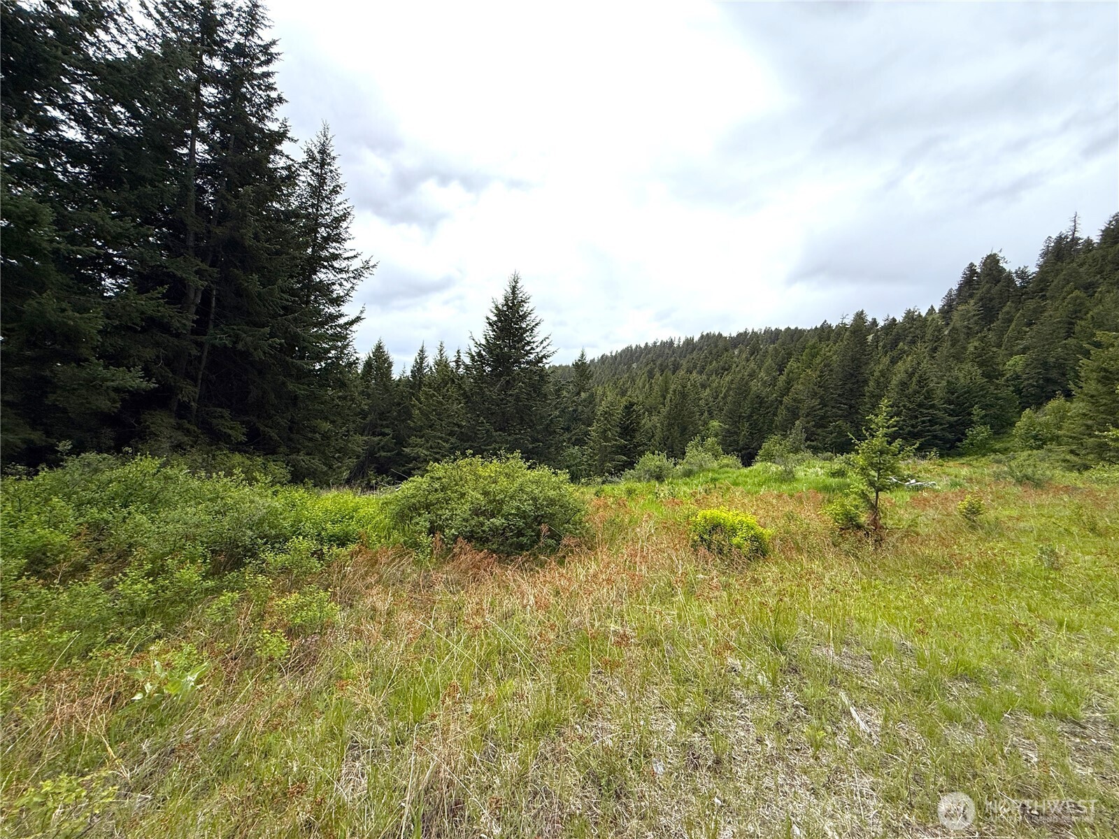 0 Pontiac Ridge Road Oroville, WA 98844 - Photo 2 of 21
