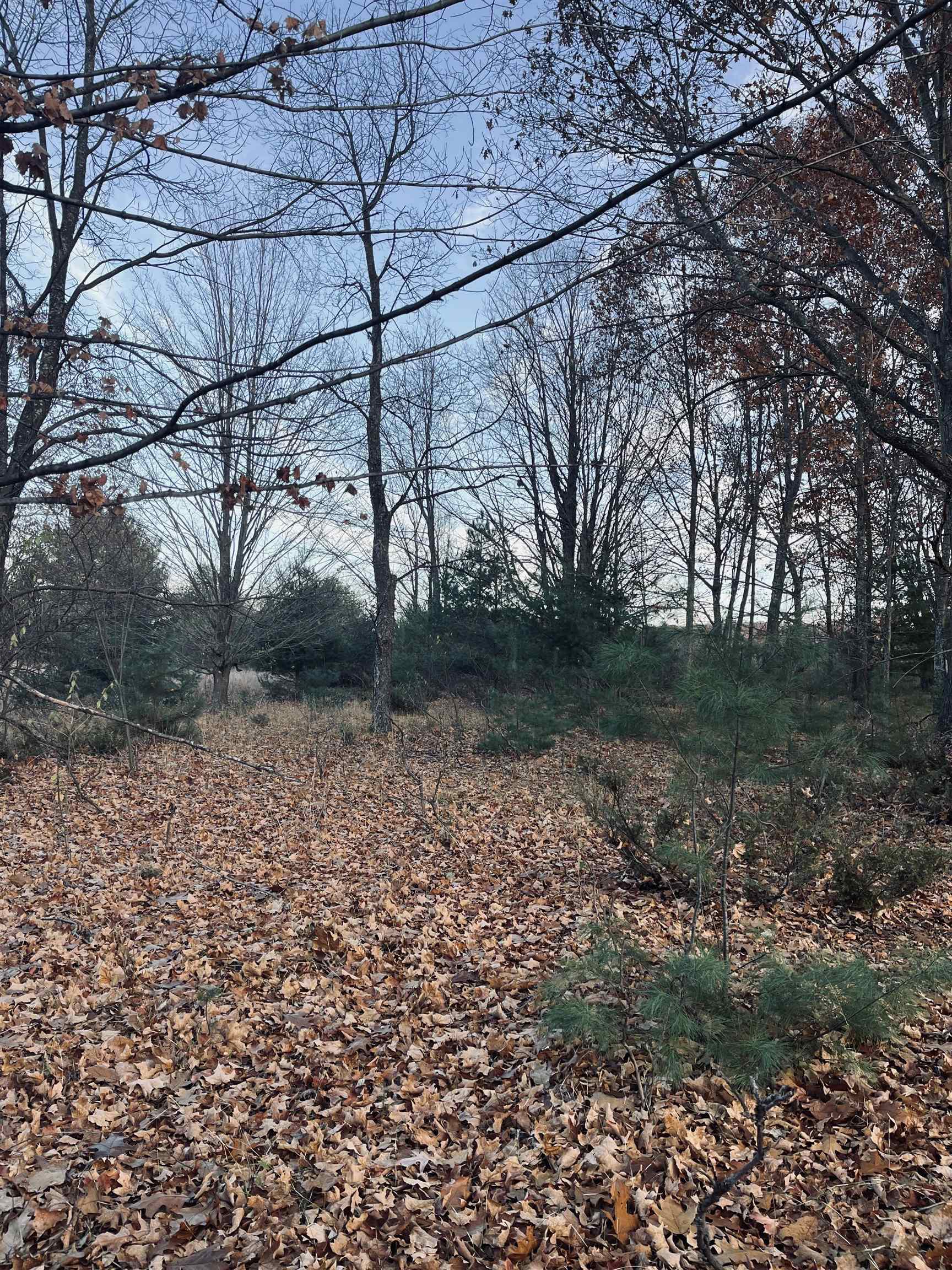 0 Bunker Hill Road Williamsburg, MI 49690 - Photo 11 of 13
