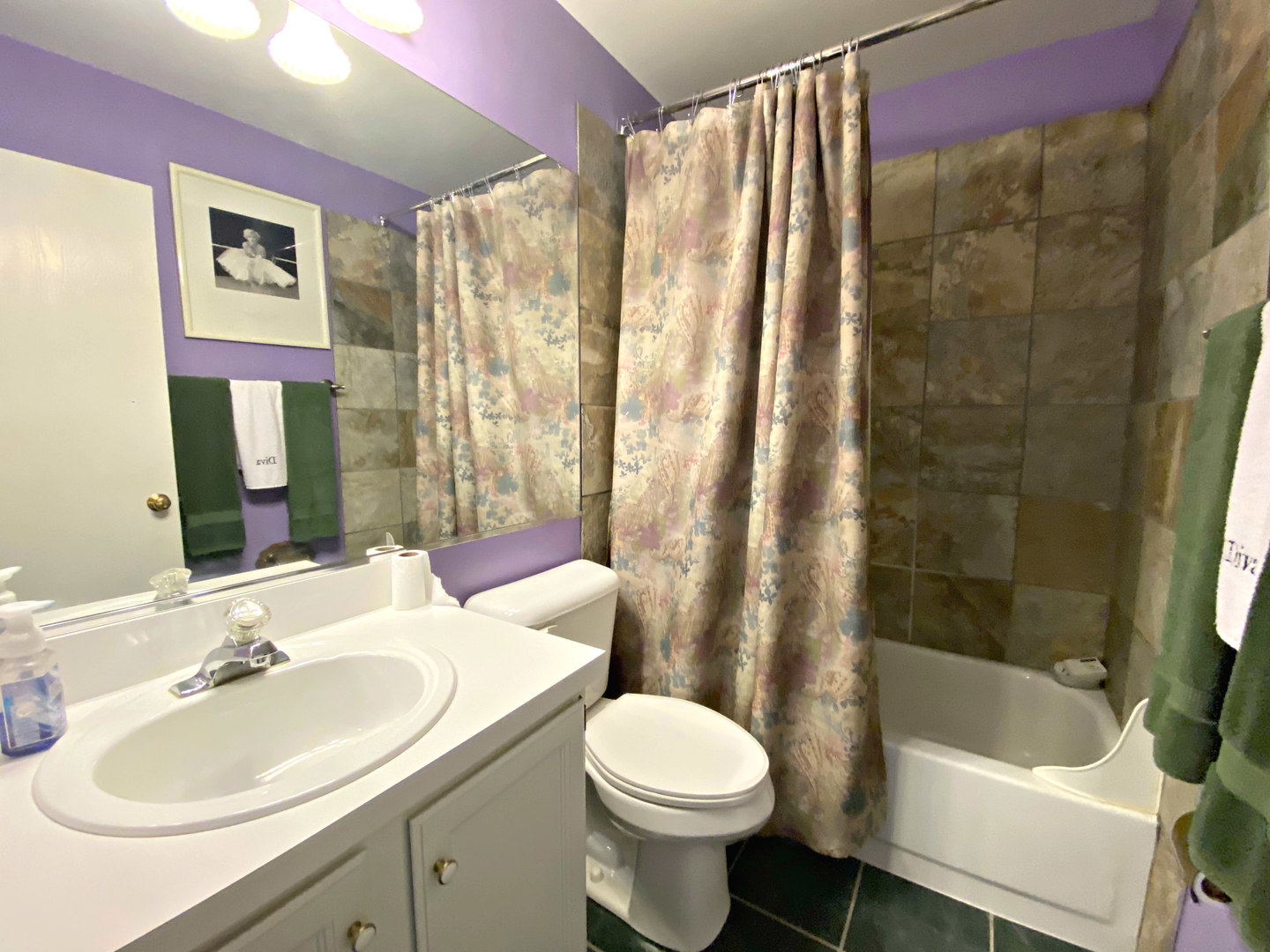 677 Bent Ridge Lane Elgin, IL 60120 - Photo 12 of 16