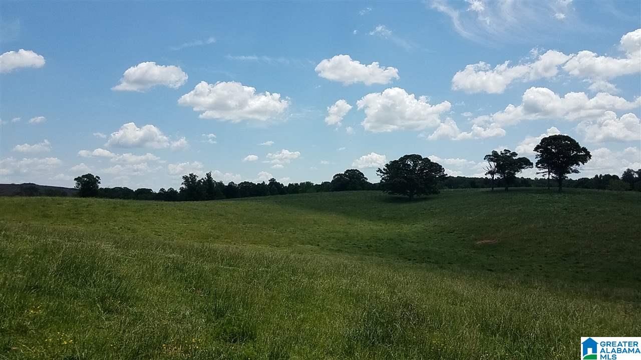 31 County Road Ashland, AL 36251 - Photo 33 of 38