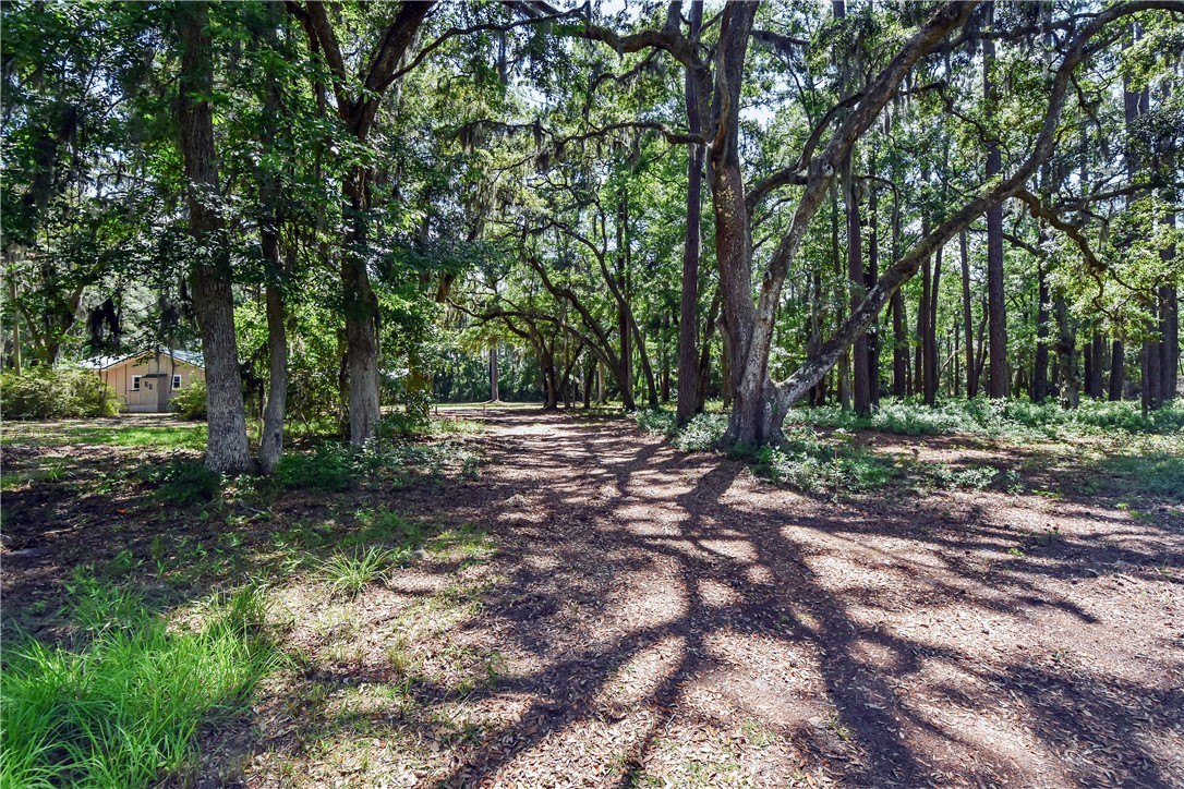 1069 Shellman Hammock Drive Northeast Townsend, GA 31331 - Photo 2 of 41