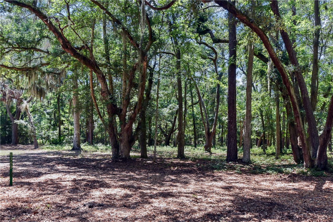 1069 Shellman Hammock Drive Northeast Townsend, GA 31331 - Photo 32 of 41