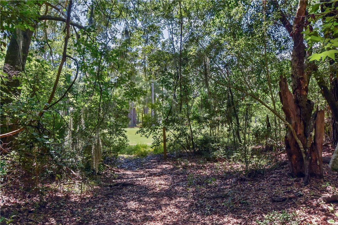 1069 Shellman Hammock Drive Northeast Townsend, GA 31331 - Photo 33 of 41